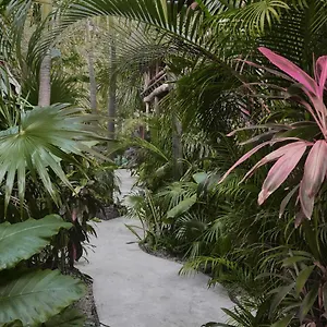 Boutique Terranova 2*, Tulum Mexico