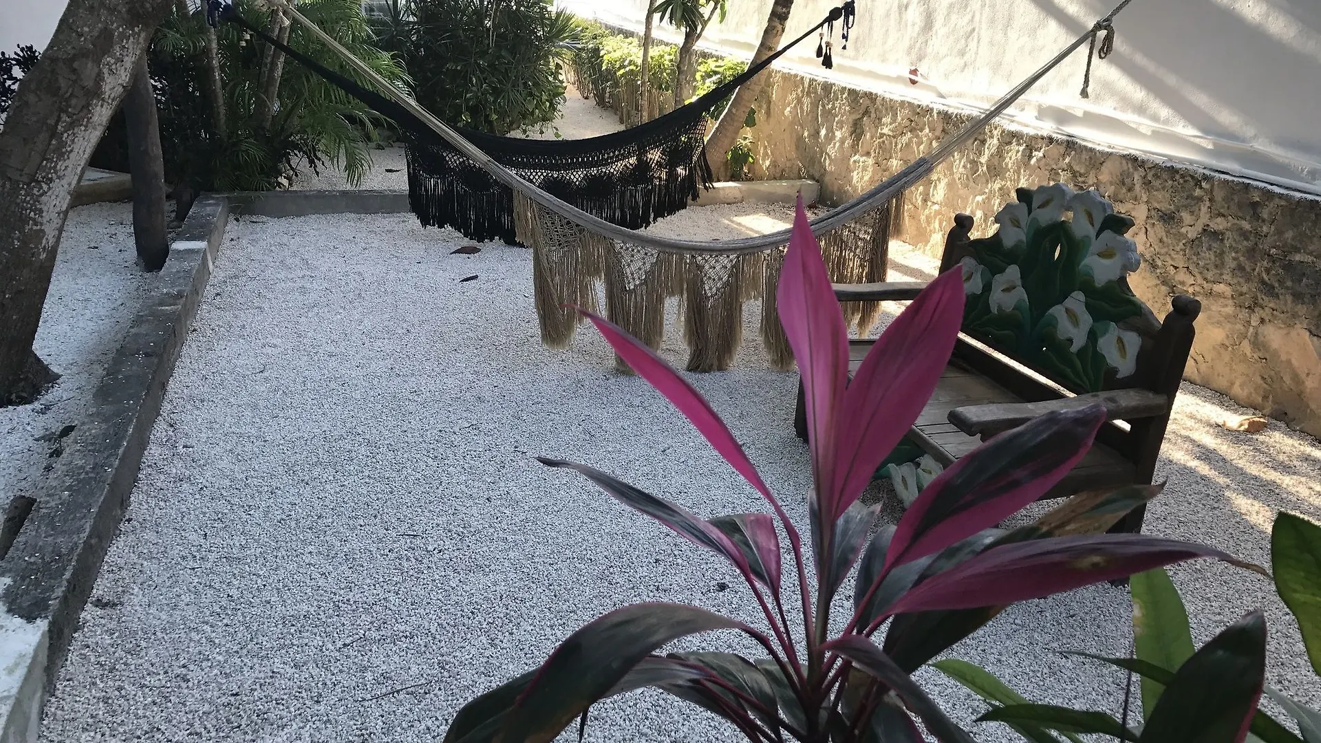 *** Guest house Hotel El Capitan Tulum Mexico